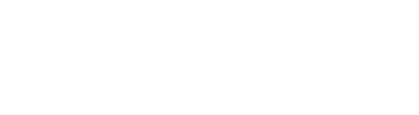 Lost A Lot White Logo